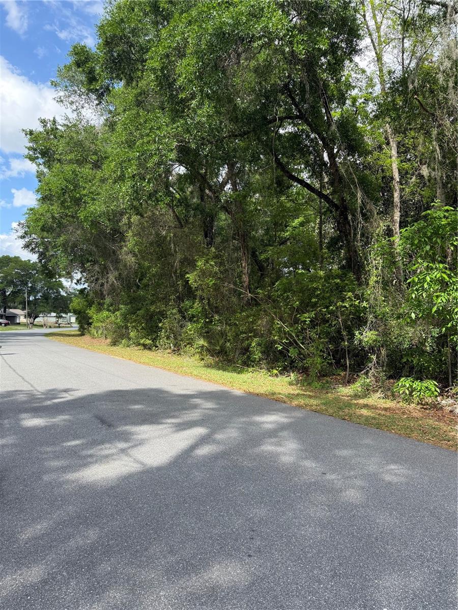 Image 8 of 10 For Tbd Larch Course