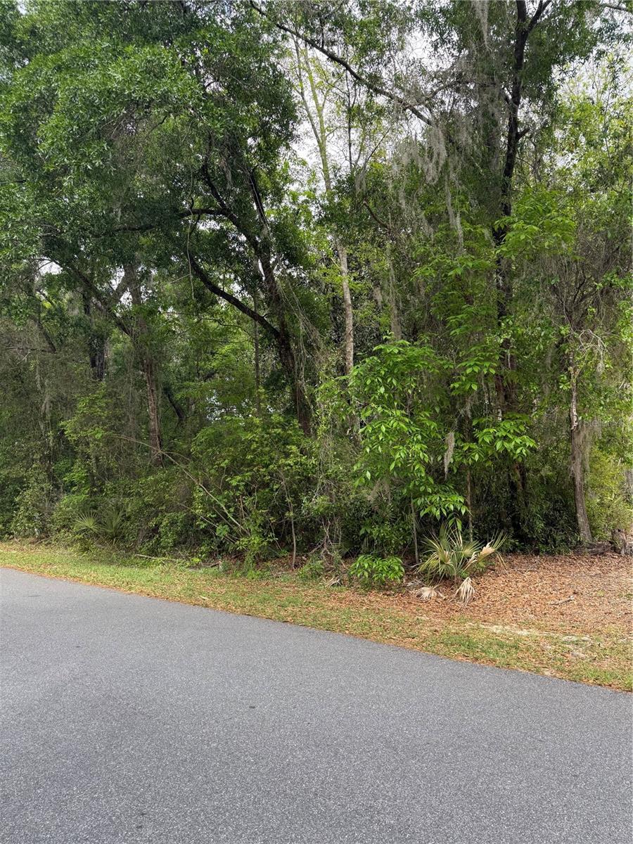 Image 9 of 10 For Tbd Larch Course