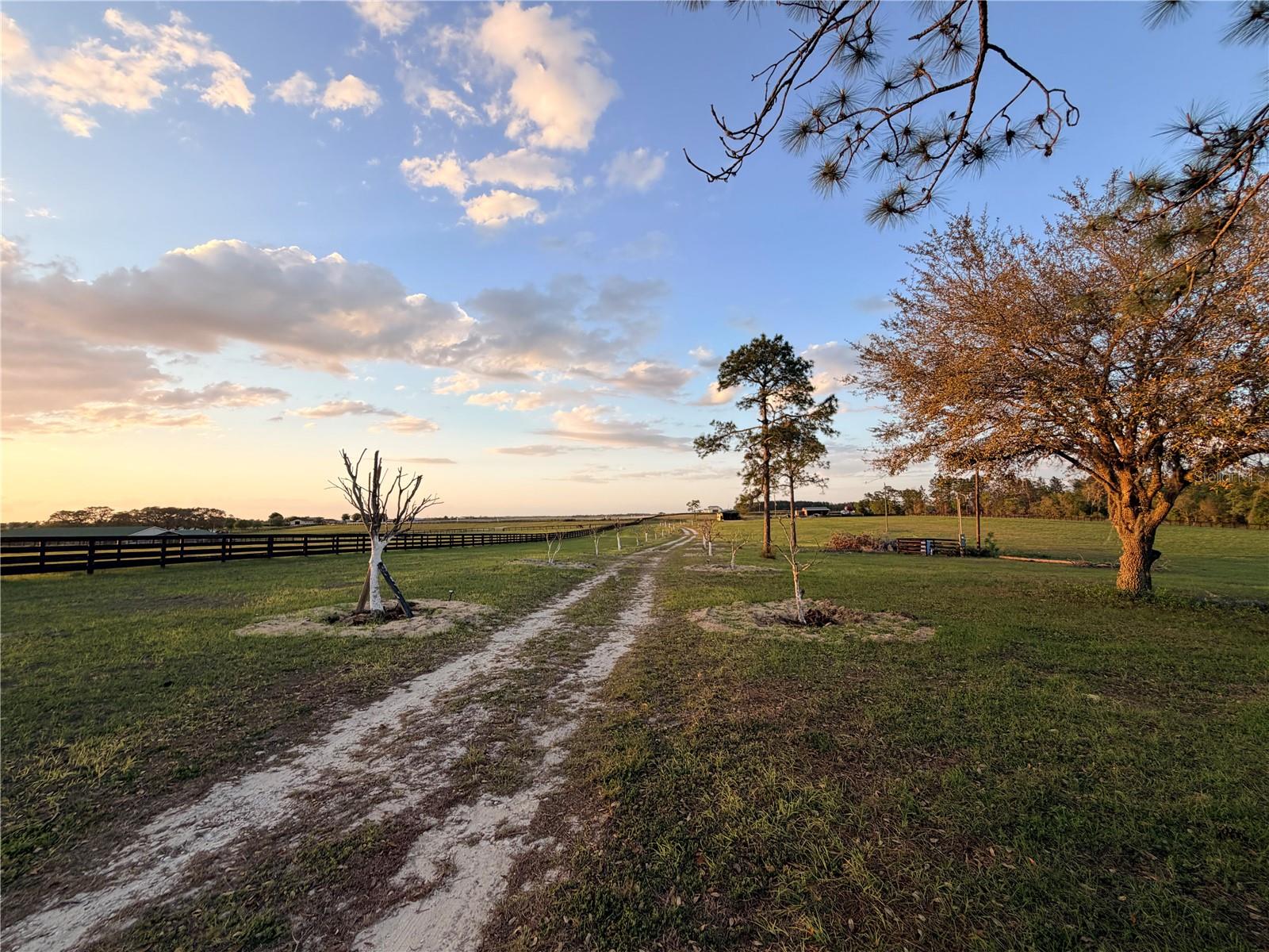 Image 11 of 14 For 12451 20th Street