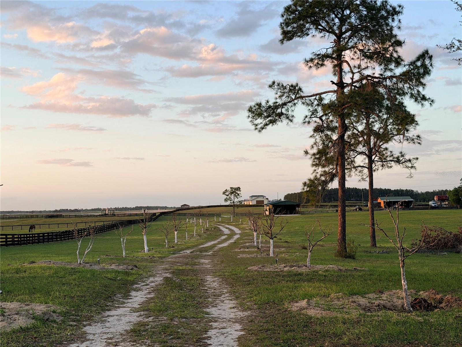 Image 12 of 14 For 12451 20th Street