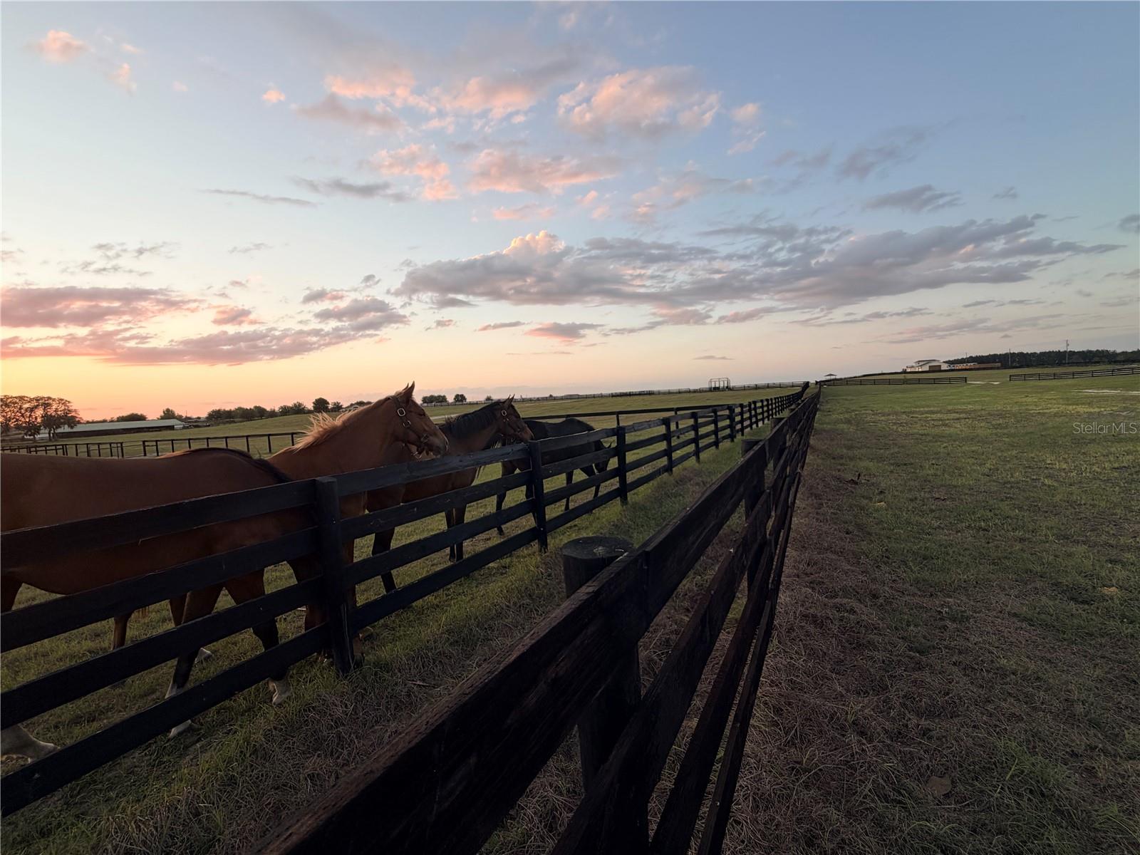 Image 5 of 14 For 12451 20th Street