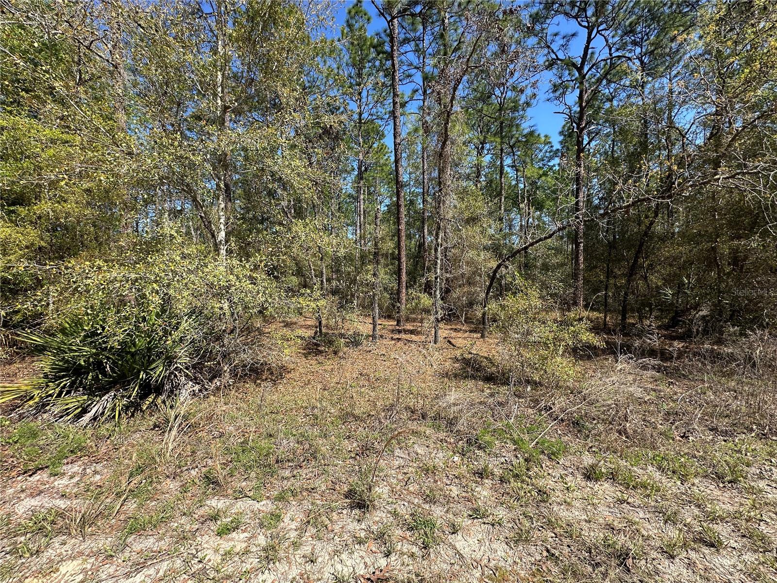 Details for Tbd 29th Street, OCALA, FL 34473