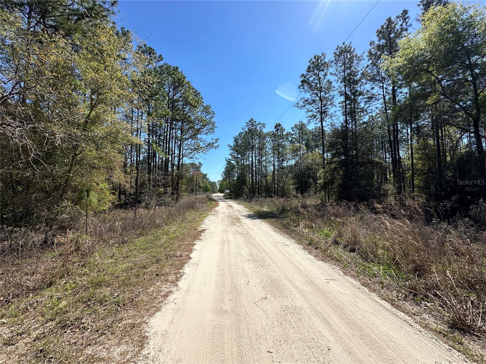 Image 5 of 7 For Tbd 29th Street