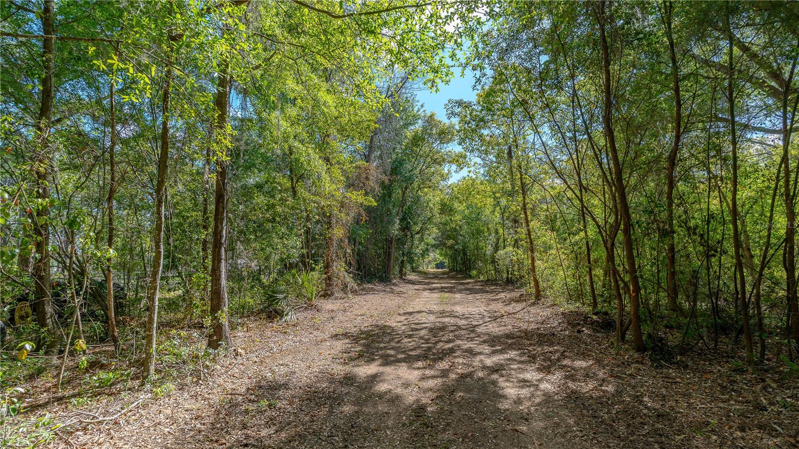 Image 8 of 19 For 11500 92nd Court