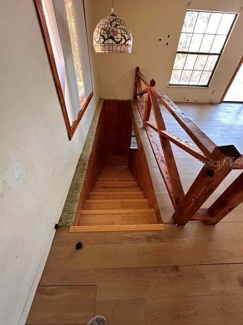 Listing photo id 14 for 11671 Salmon Drive