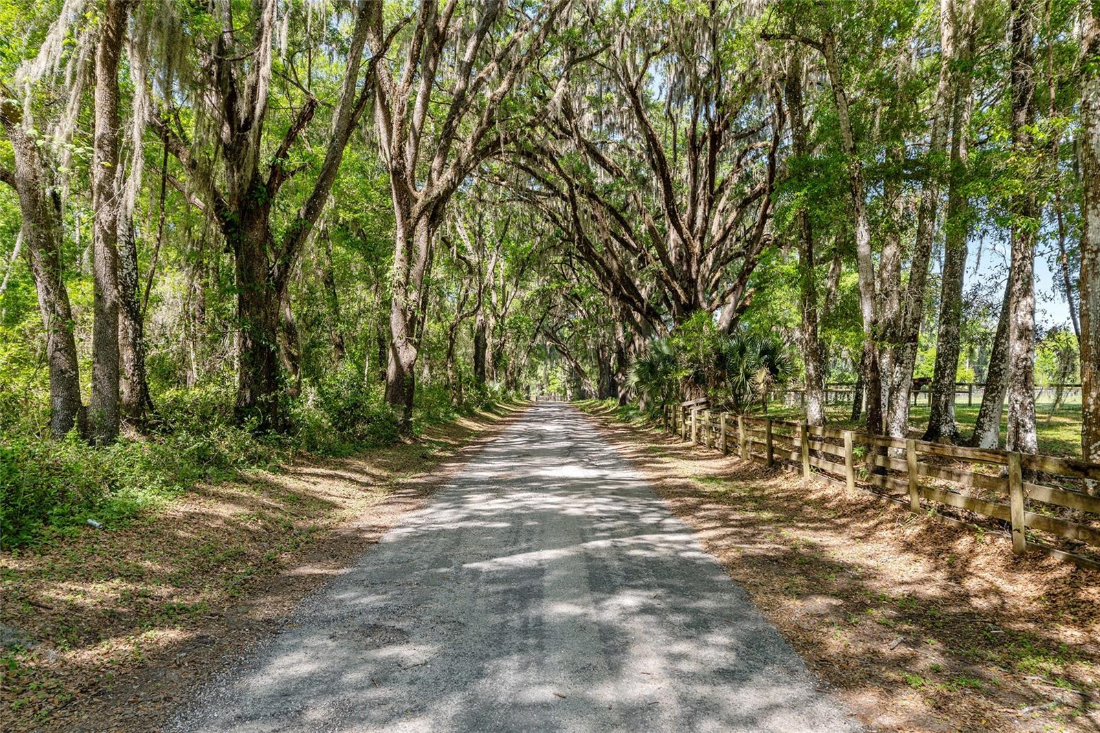 Details for 6405 165th Street, REDDICK, FL 32686