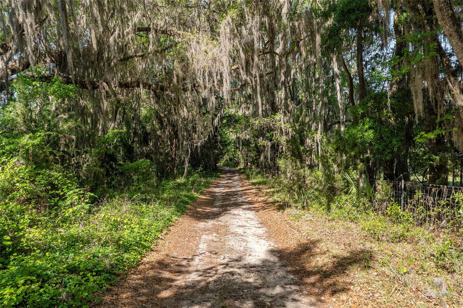 Image 13 of 19 For 6405 165th Street