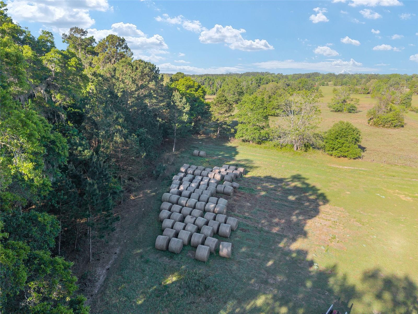 Image 15 of 19 For 6405 165th Street