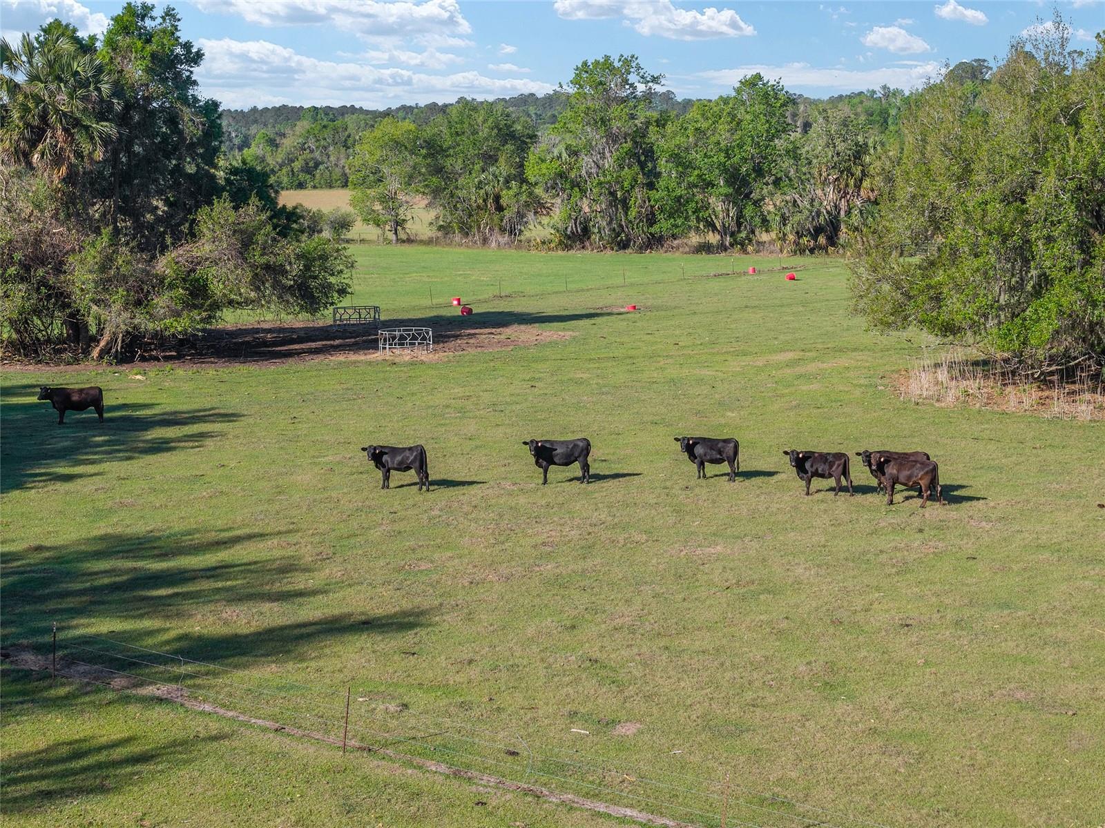 Image 18 of 19 For 6405 165th Street