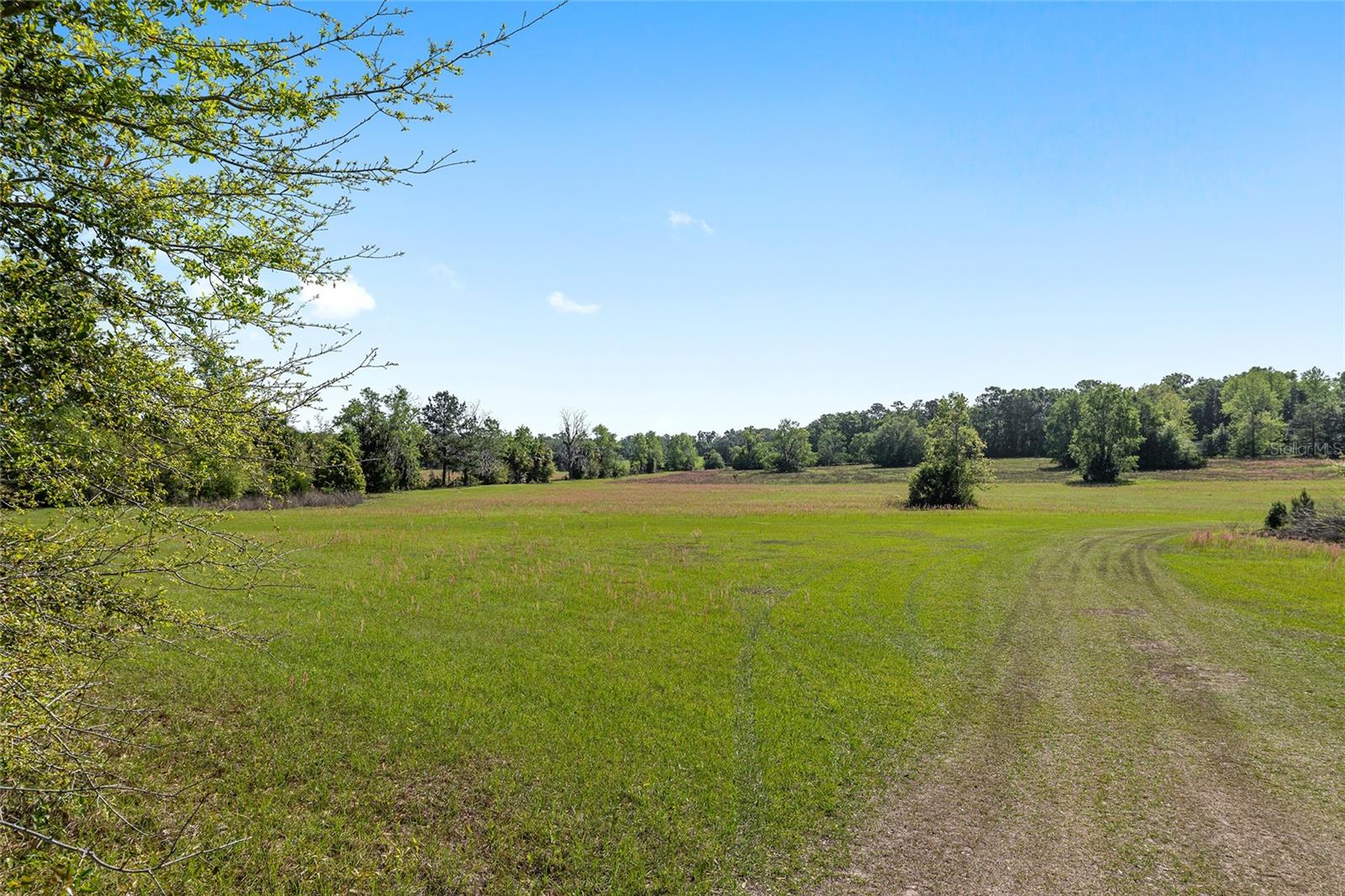 Image 9 of 19 For 6405 165th Street