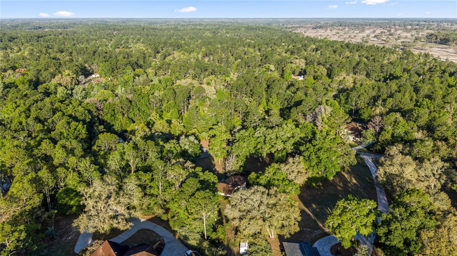 Image 14 of 60 For 20949 81st Loop