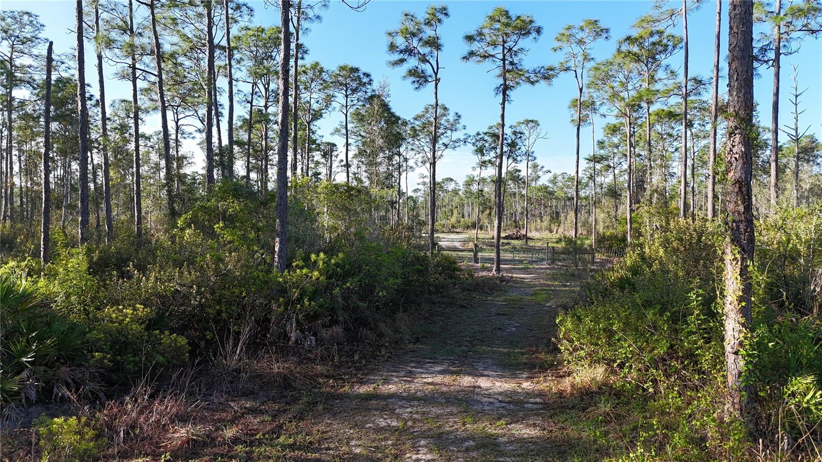 Image 5 of 34 For 14350 Burnt Store Road