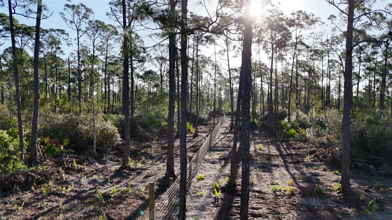 Image 8 of 34 For 14350 Burnt Store Road