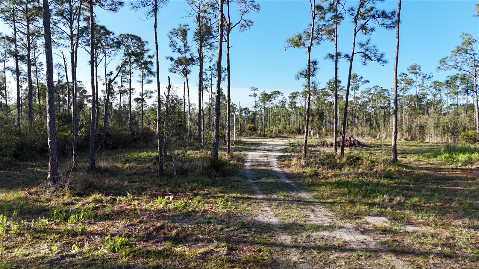 Image 9 of 34 For 14350 Burnt Store Road