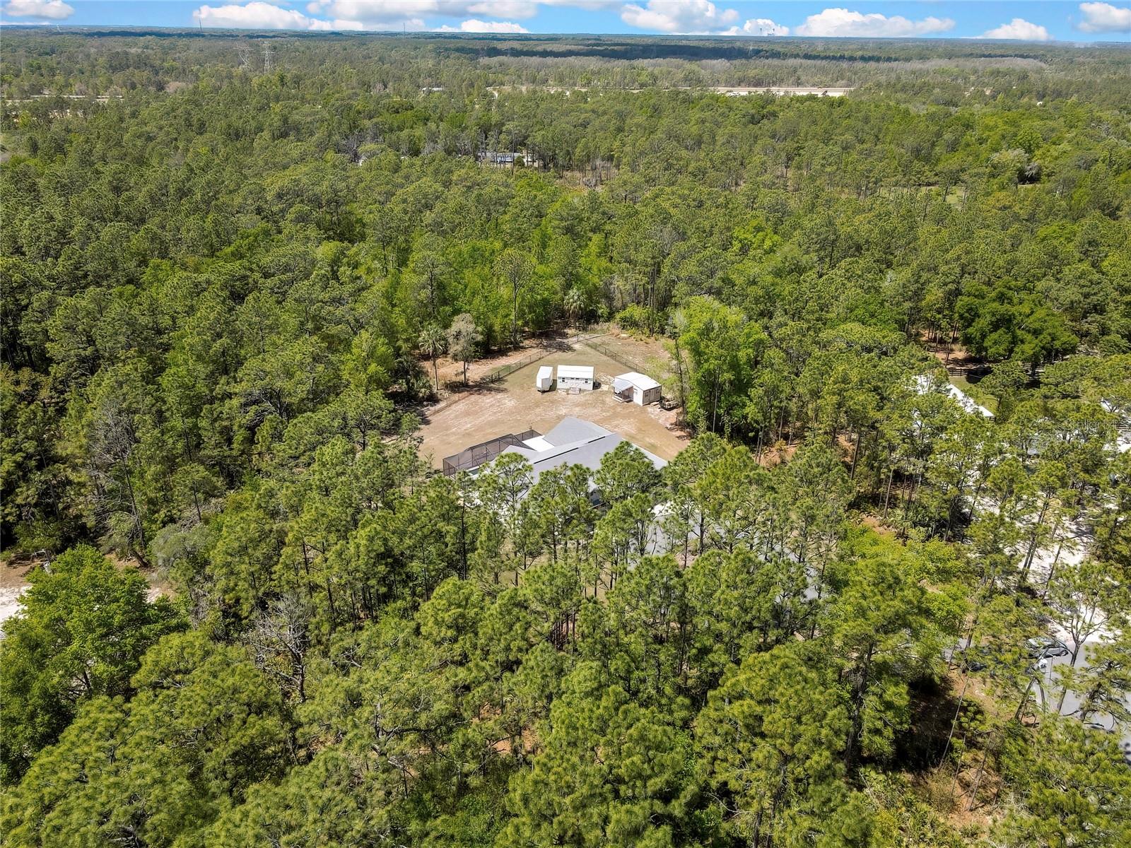 Listing photo id 80 for 3991 Buckhorn Drive