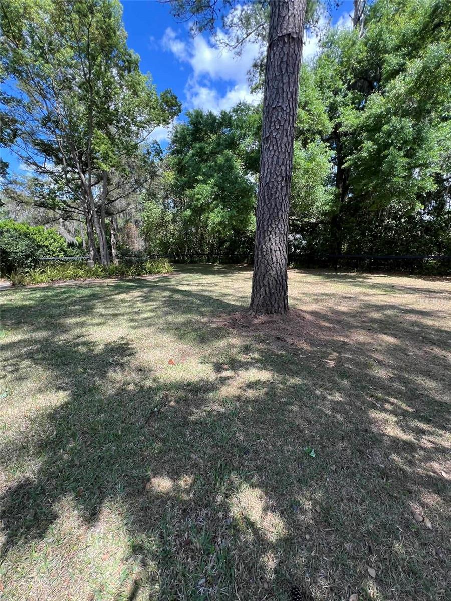 Image 23 of 24 For 4455 80th Terrace