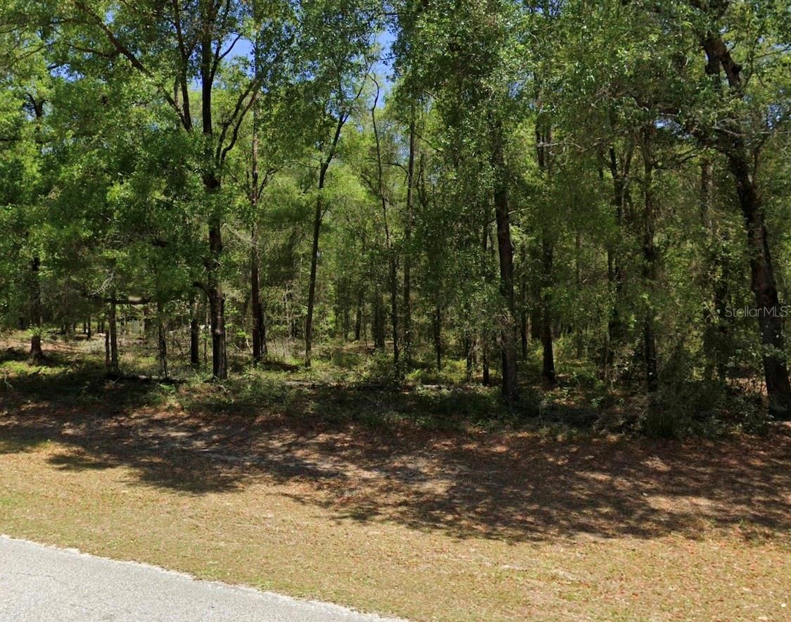 Details for 00 102nd Street Road, DUNNELLON, FL 34432