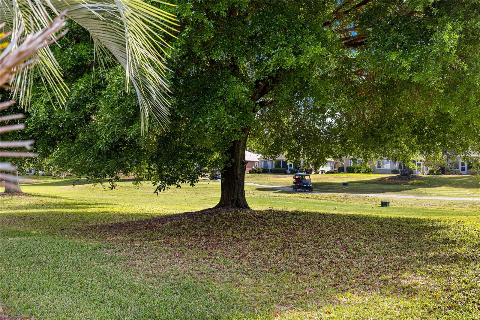 Image 35 of 70 For 13131 91st Court Road