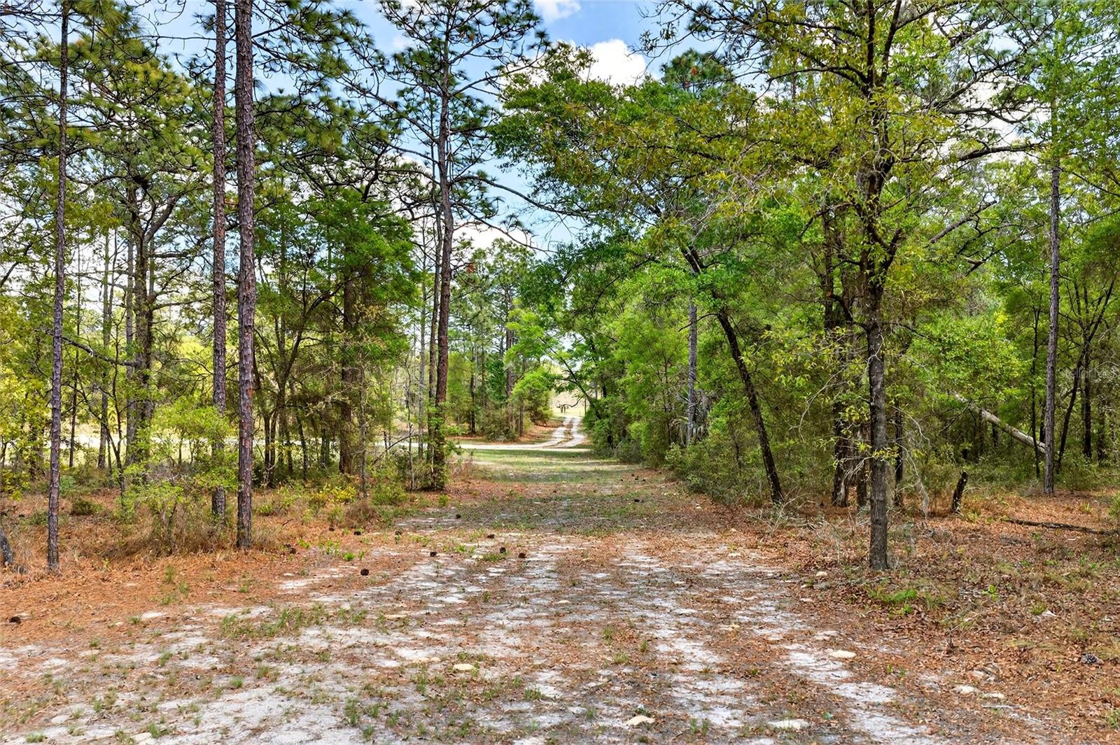 Listing photo id 19 for 7576 Heller Avenue