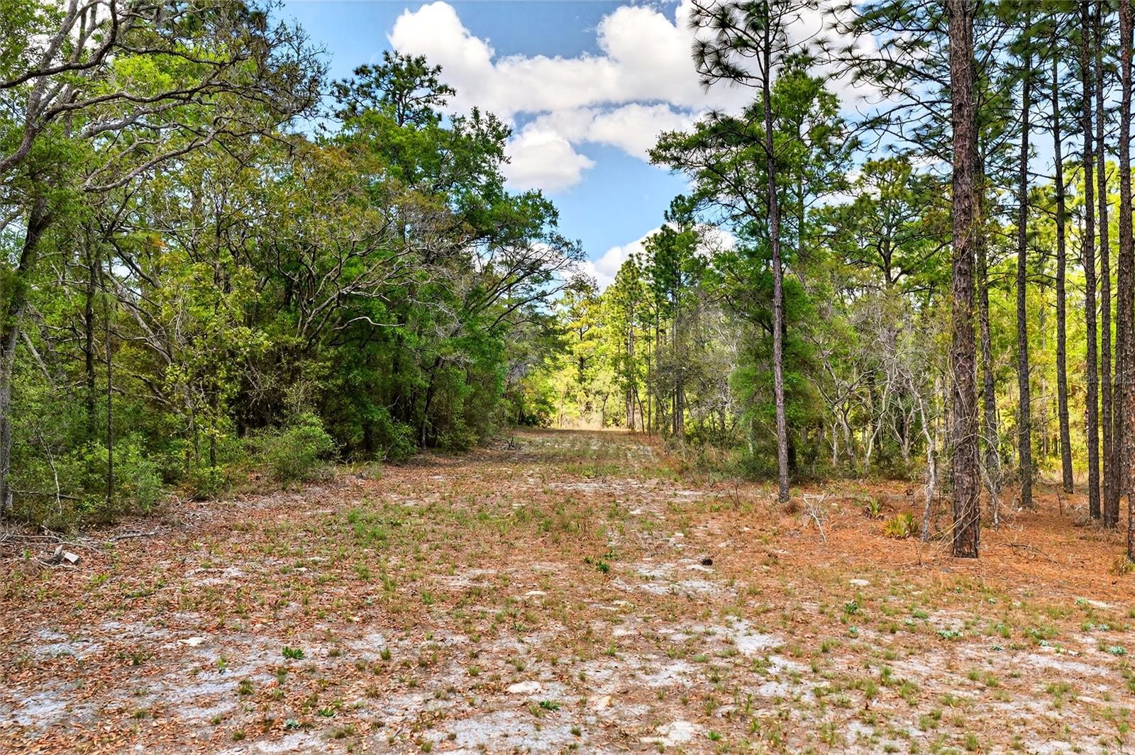 Listing photo id 20 for 7576 Heller Avenue