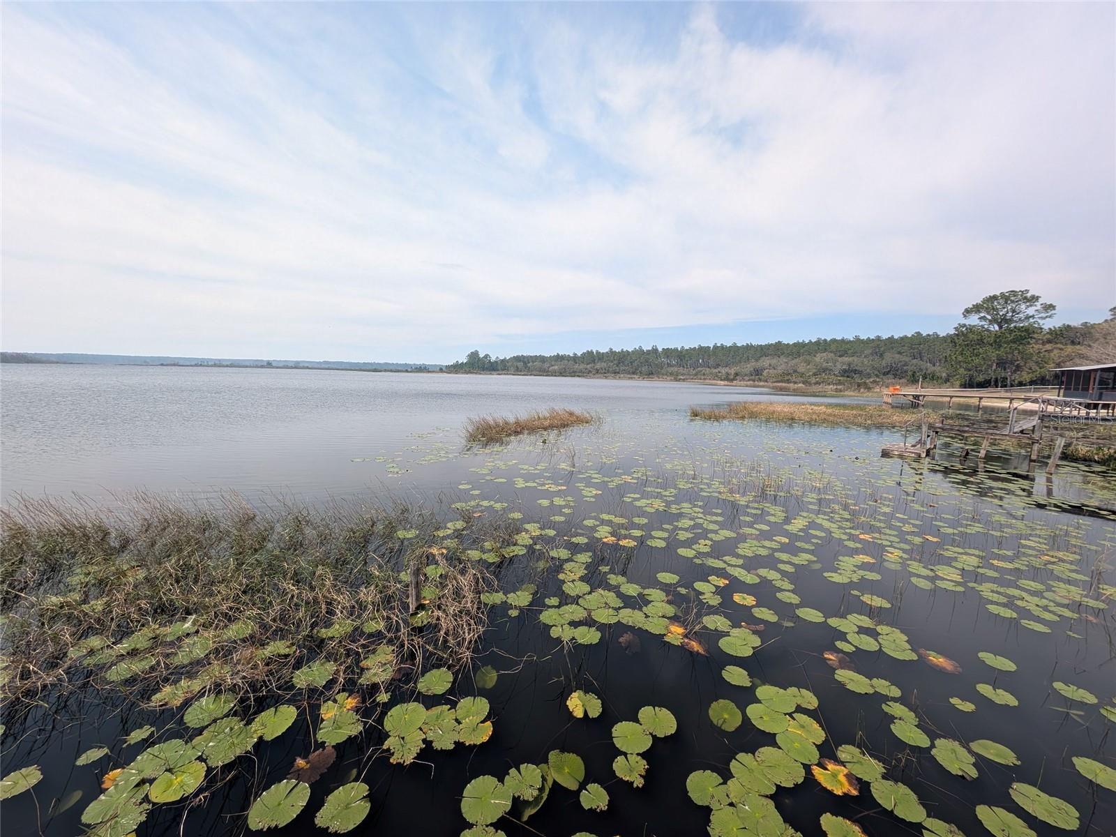 Image 95 of 100 For 23797 189th Street