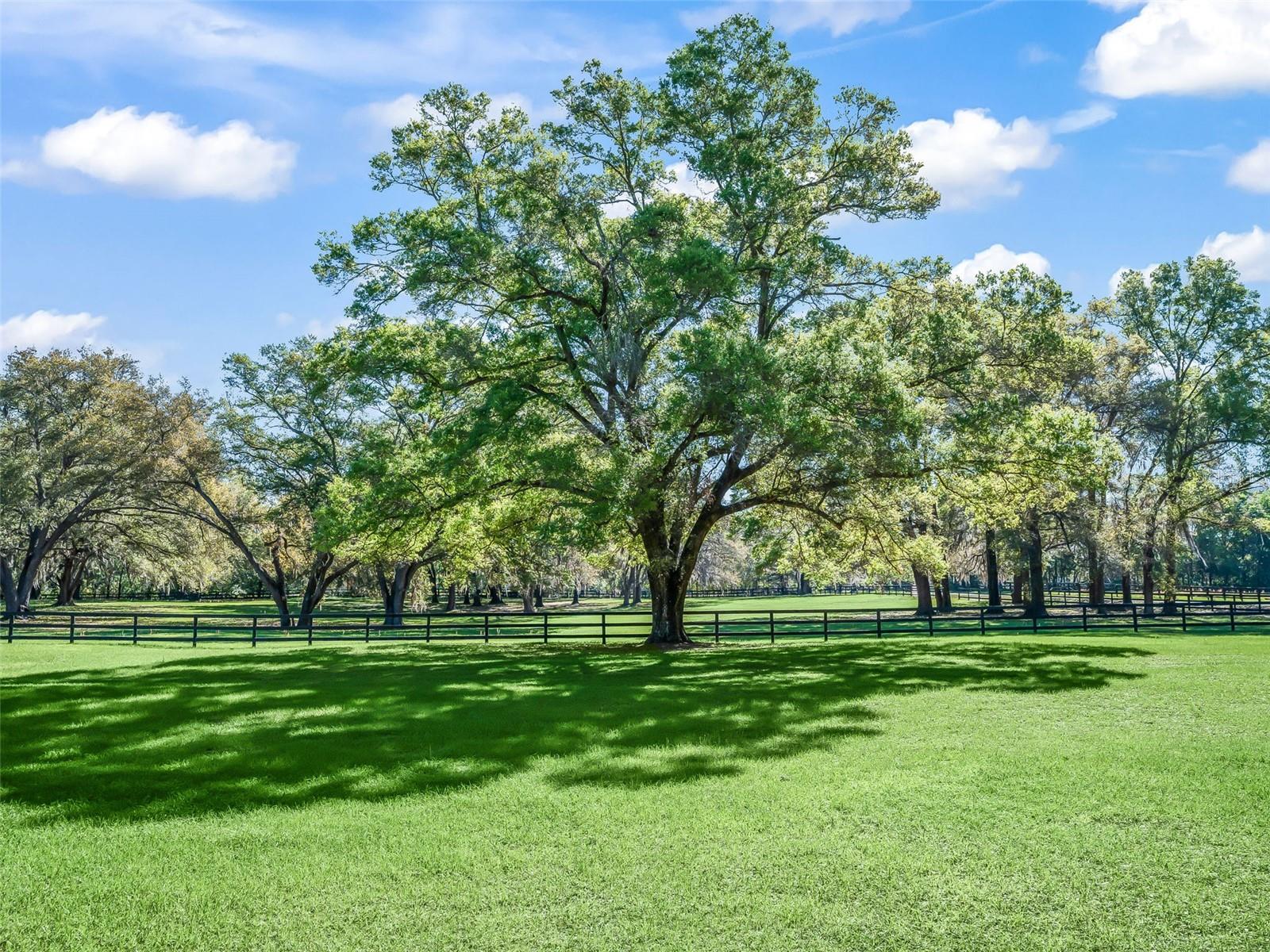 Image 2 of 8 For 2 Carry Back Road