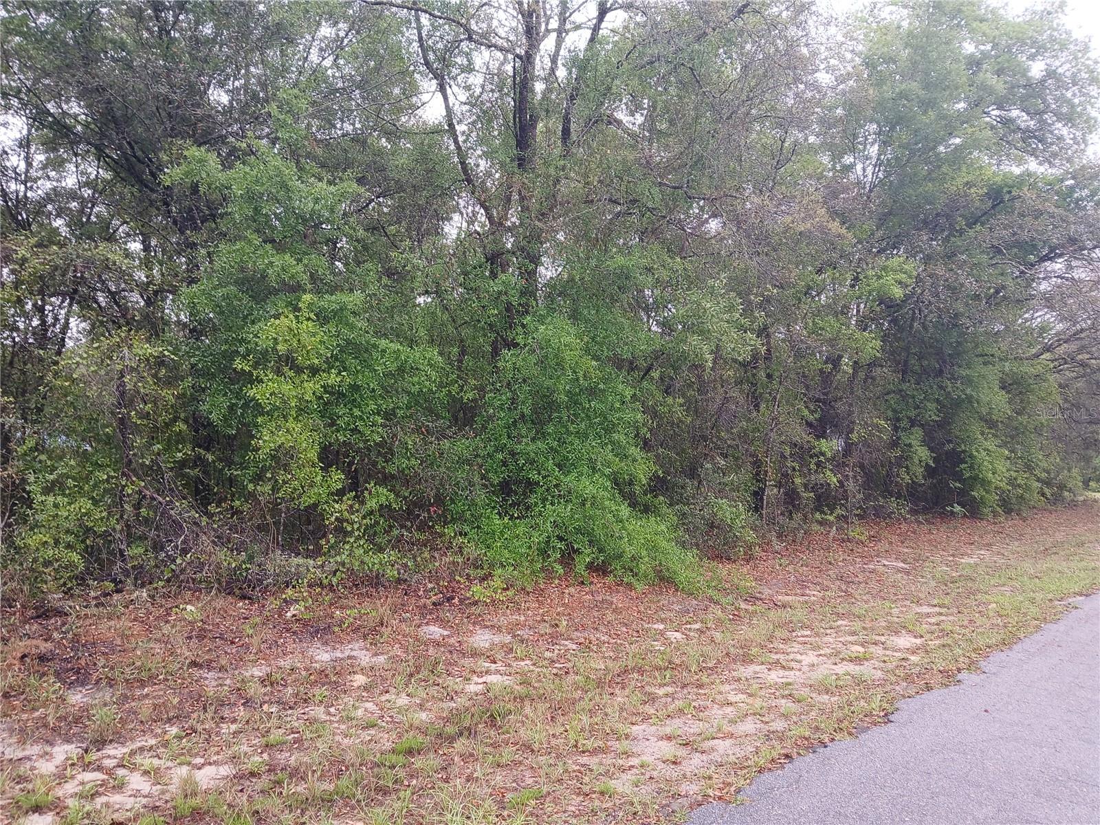 Image 3 of 5 For 7851 Vince Drive