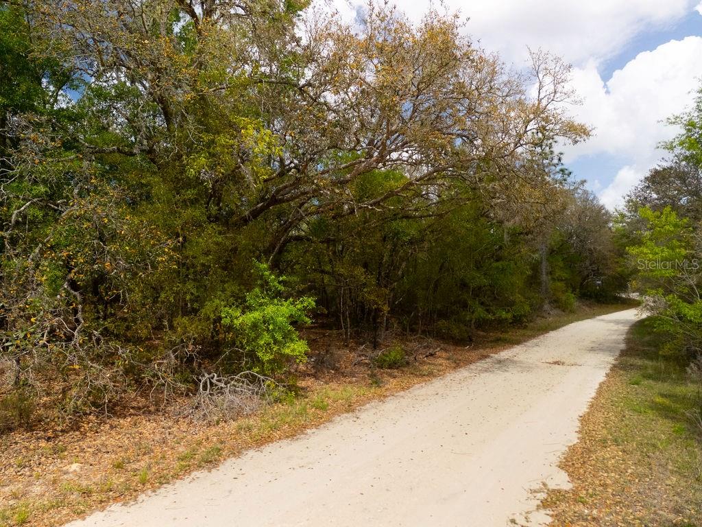 Image 12 of 26 For 00 131st Terrace