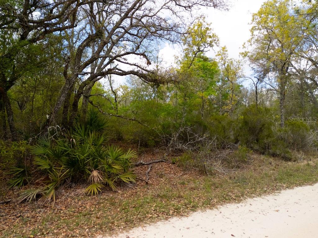 Image 13 of 26 For 00 131st Terrace