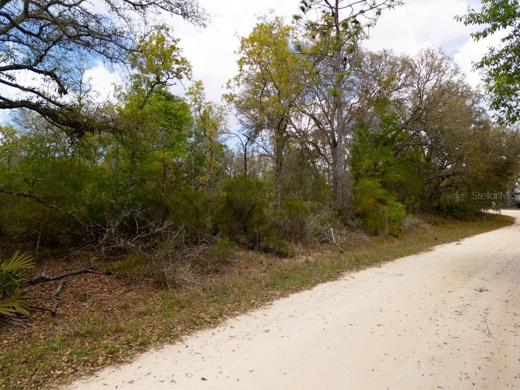 Image 14 of 26 For 00 131st Terrace