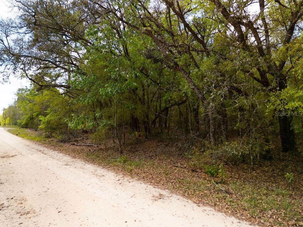 Image 15 of 26 For 00 131st Terrace