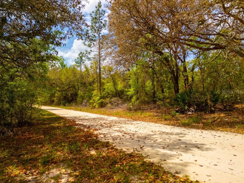 Image 5 of 26 For 00 131st Terrace