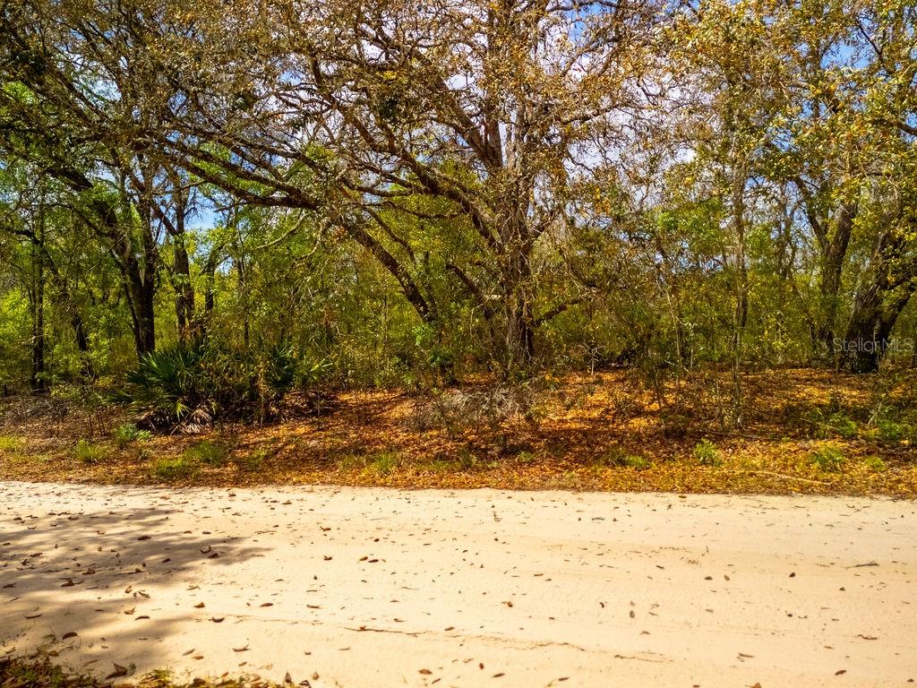 Image 6 of 26 For 00 131st Terrace