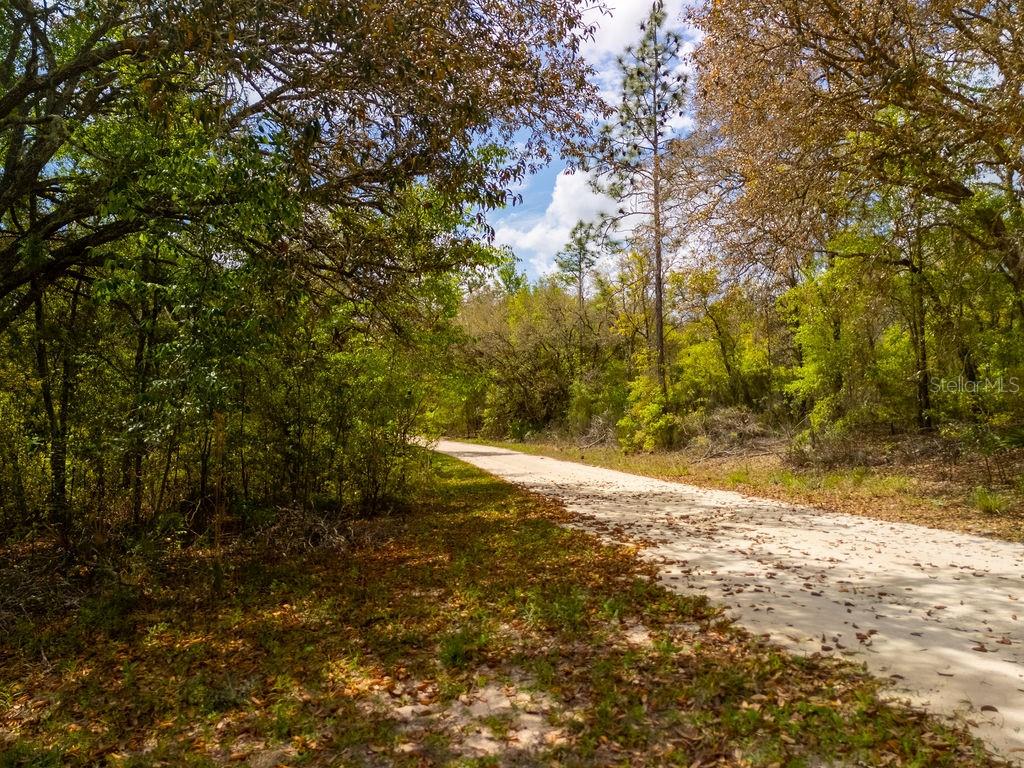 Image 8 of 26 For 00 131st Terrace