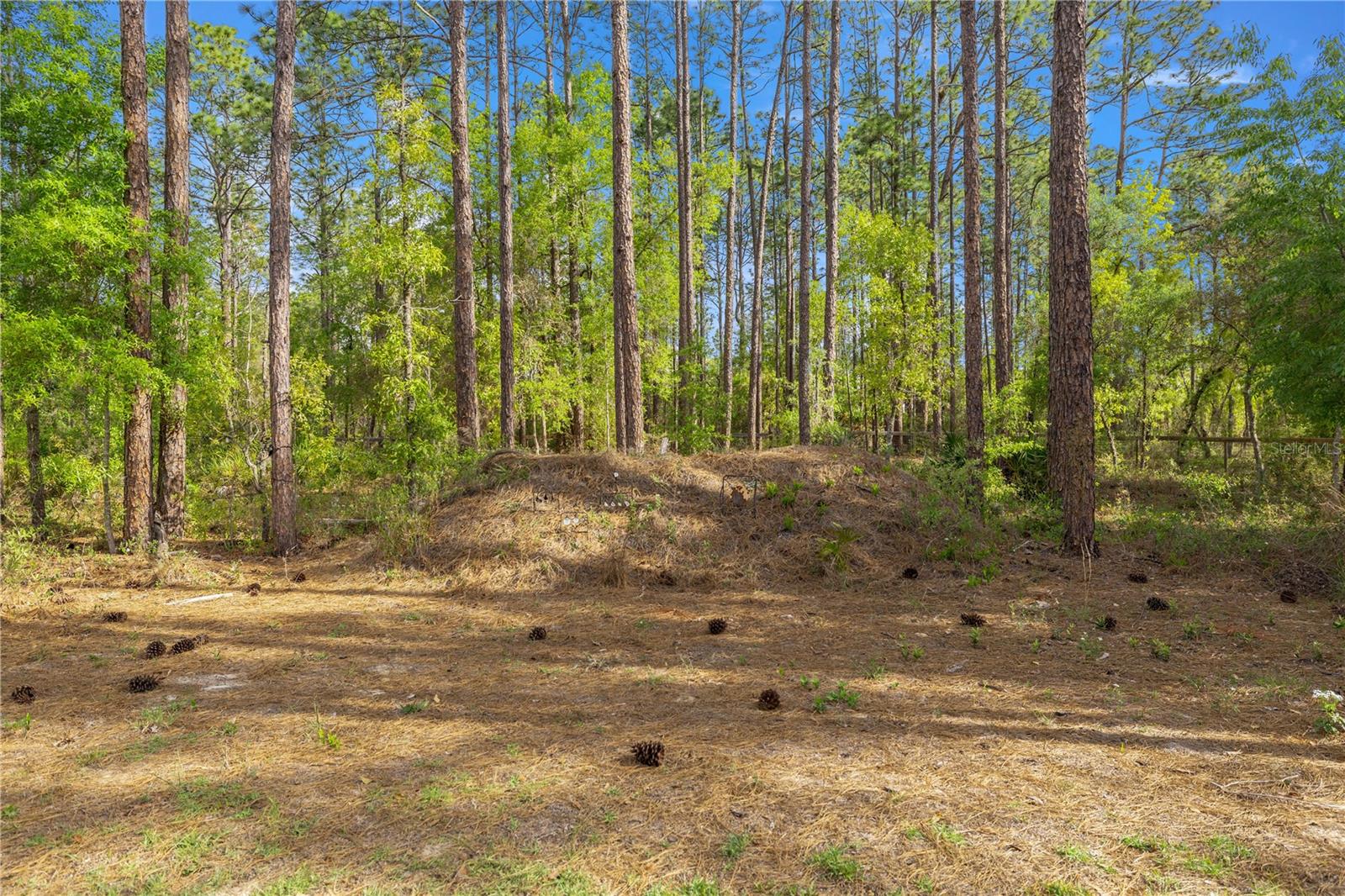 Image 22 of 30 For 13131 73rd Street