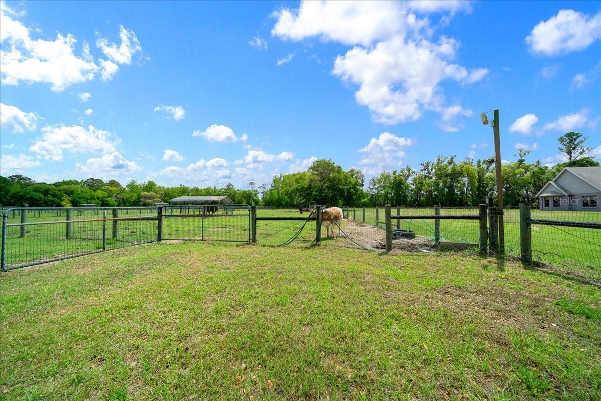 Image 74 of 84 For 13456 Highway 318