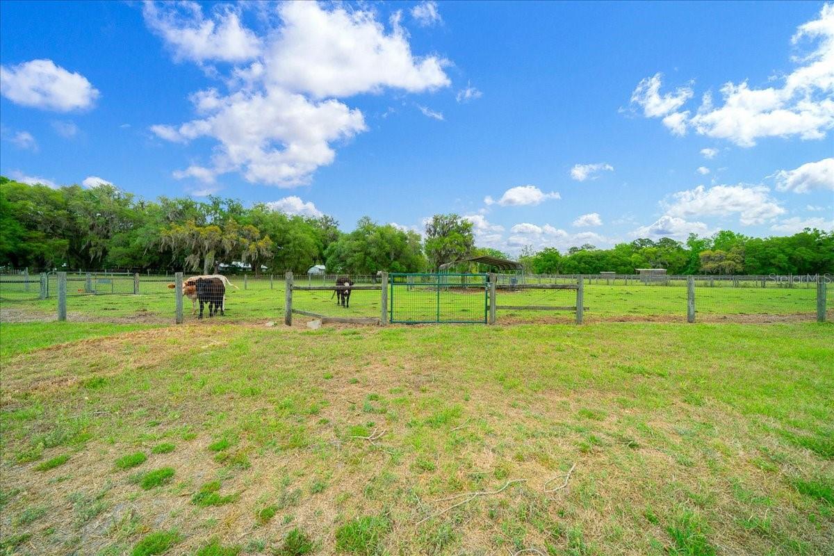 Image 78 of 84 For 13456 Highway 318