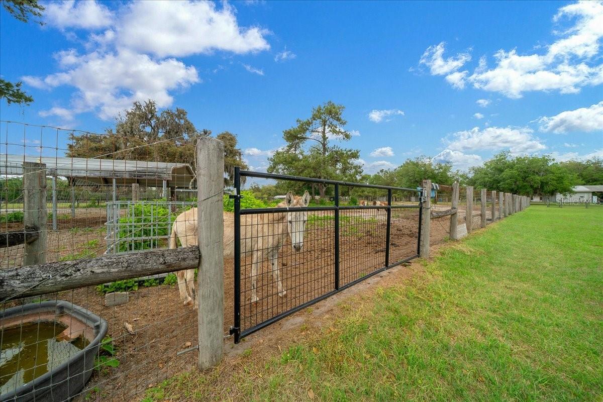 Image 83 of 84 For 13456 Highway 318