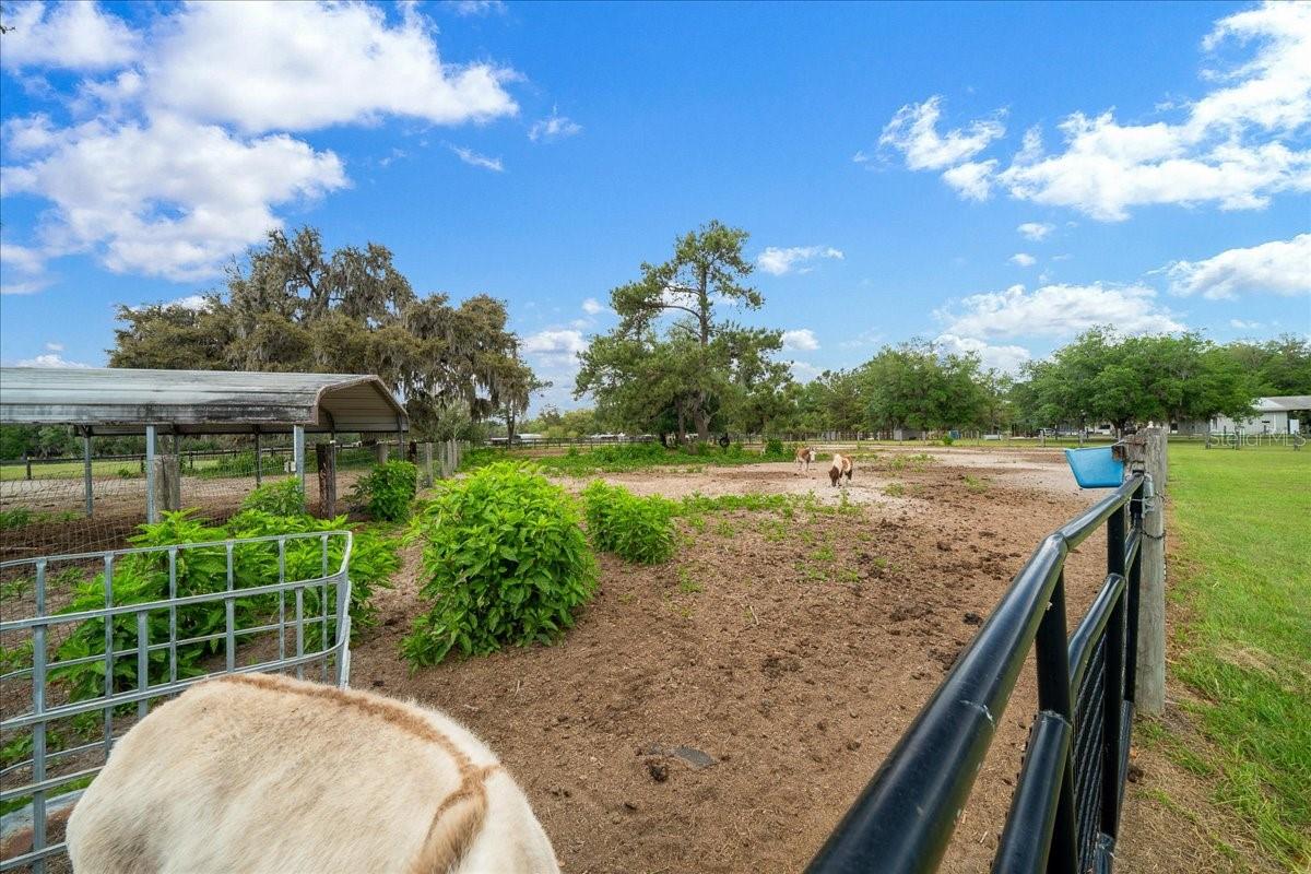 Image 84 of 84 For 13456 Highway 318