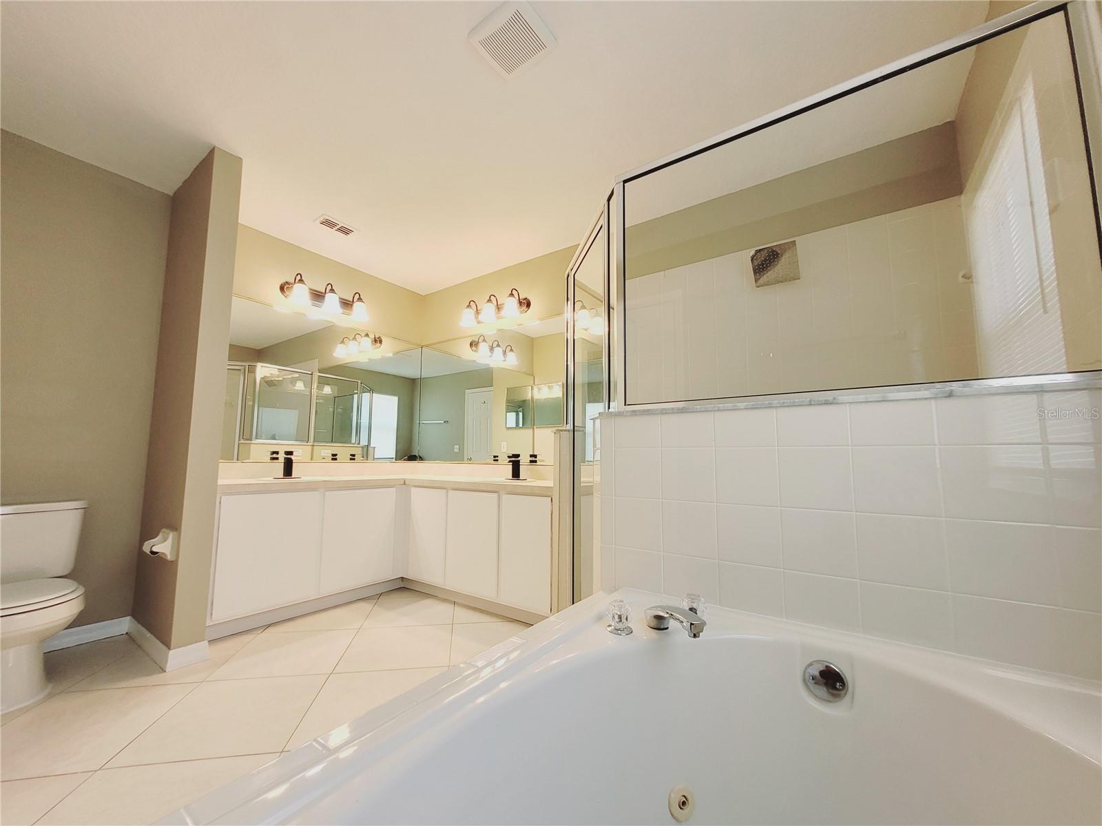 Image 28 of 60 For 317 Azincourt Lane