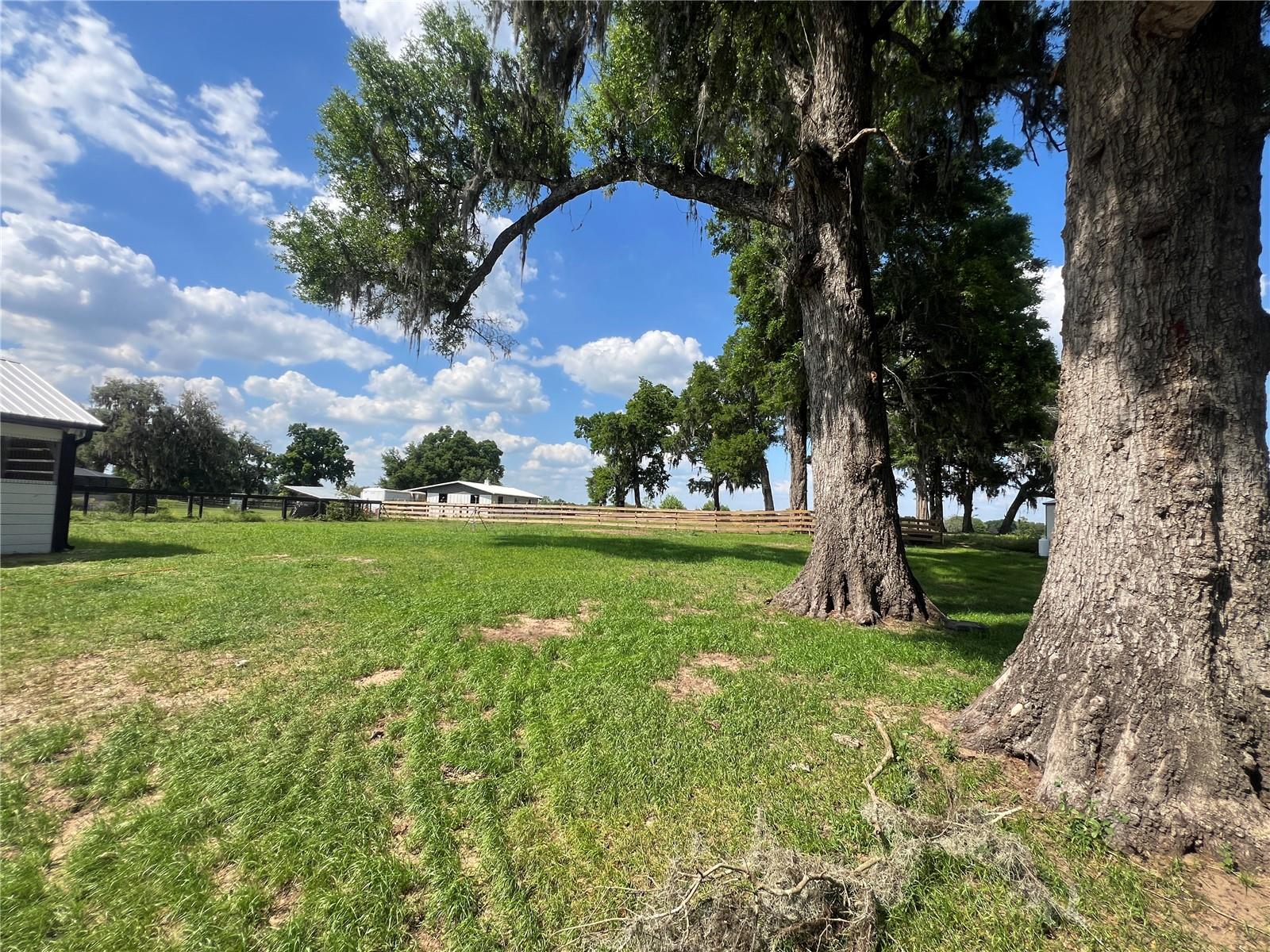 Image 17 of 29 For 1575 100th Street