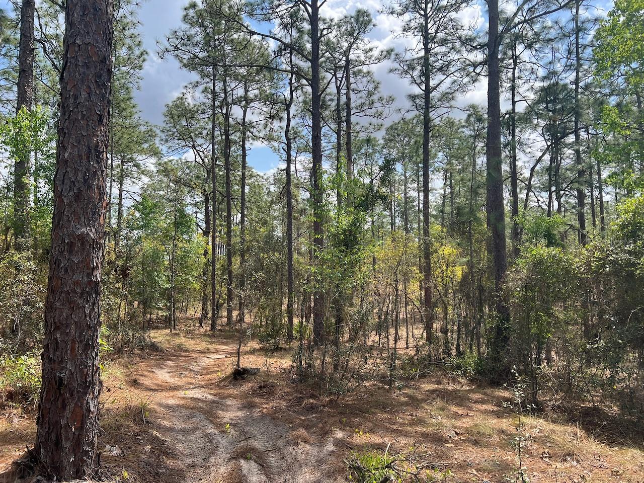 Image 15 of 20 For 10th Street Se