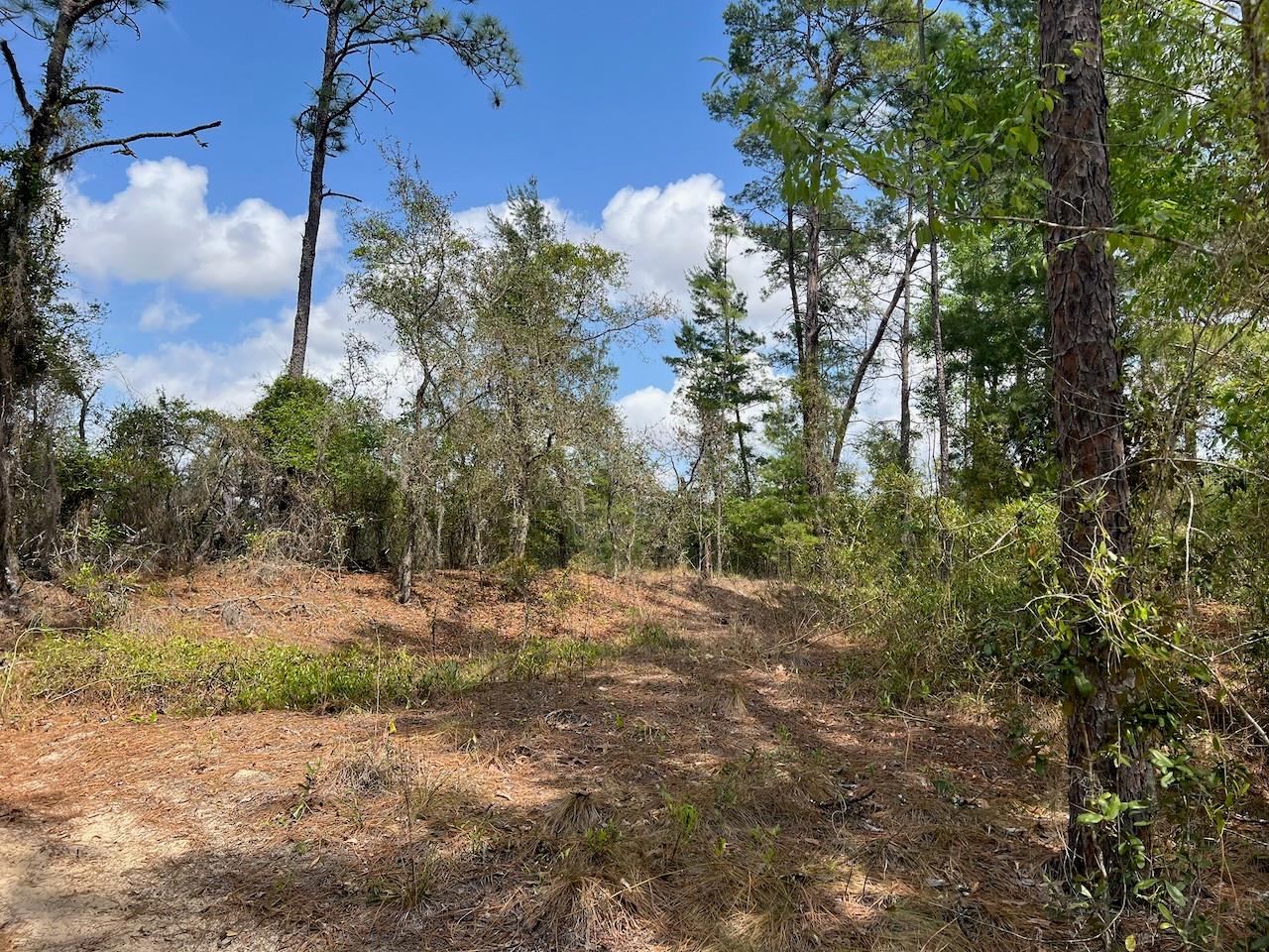 Image 16 of 20 For 10th Street Se