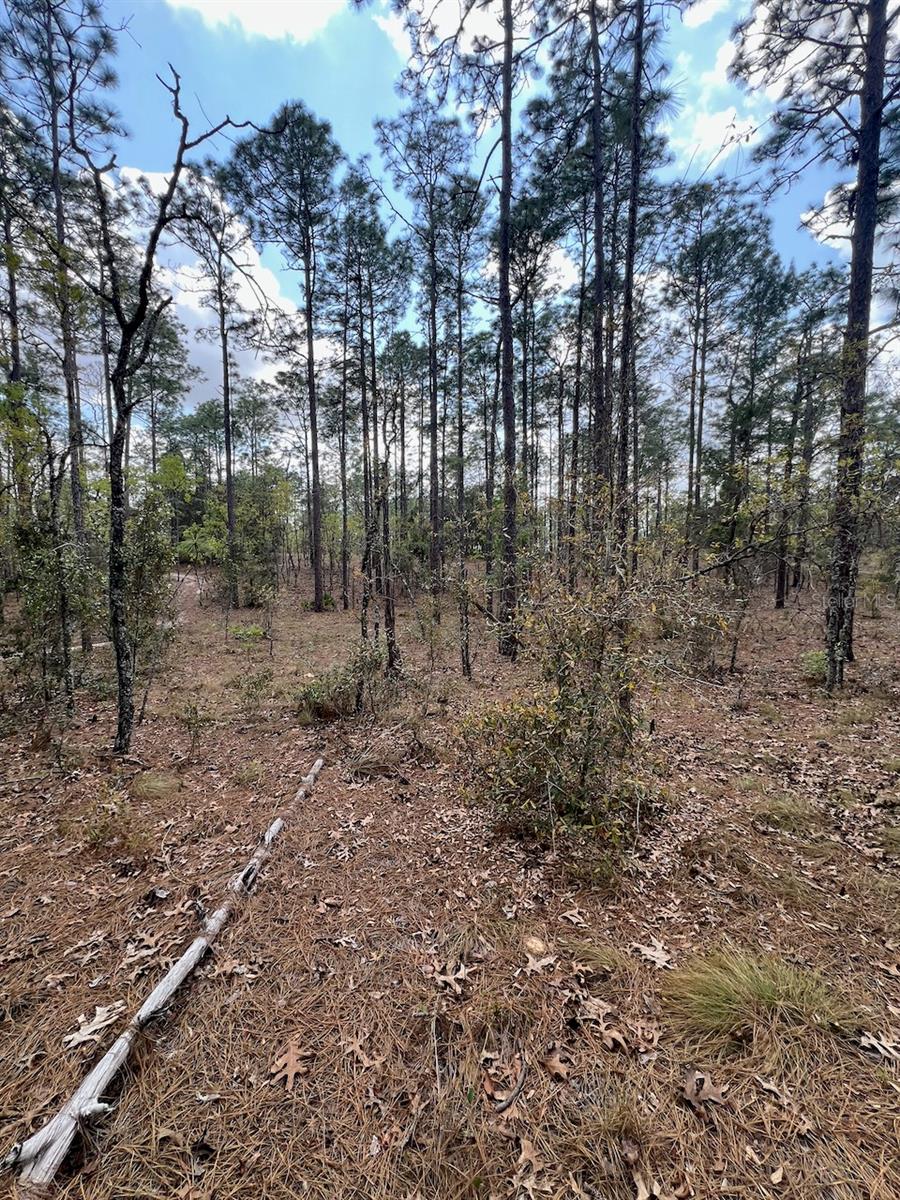 Image 18 of 20 For 10th Street Se