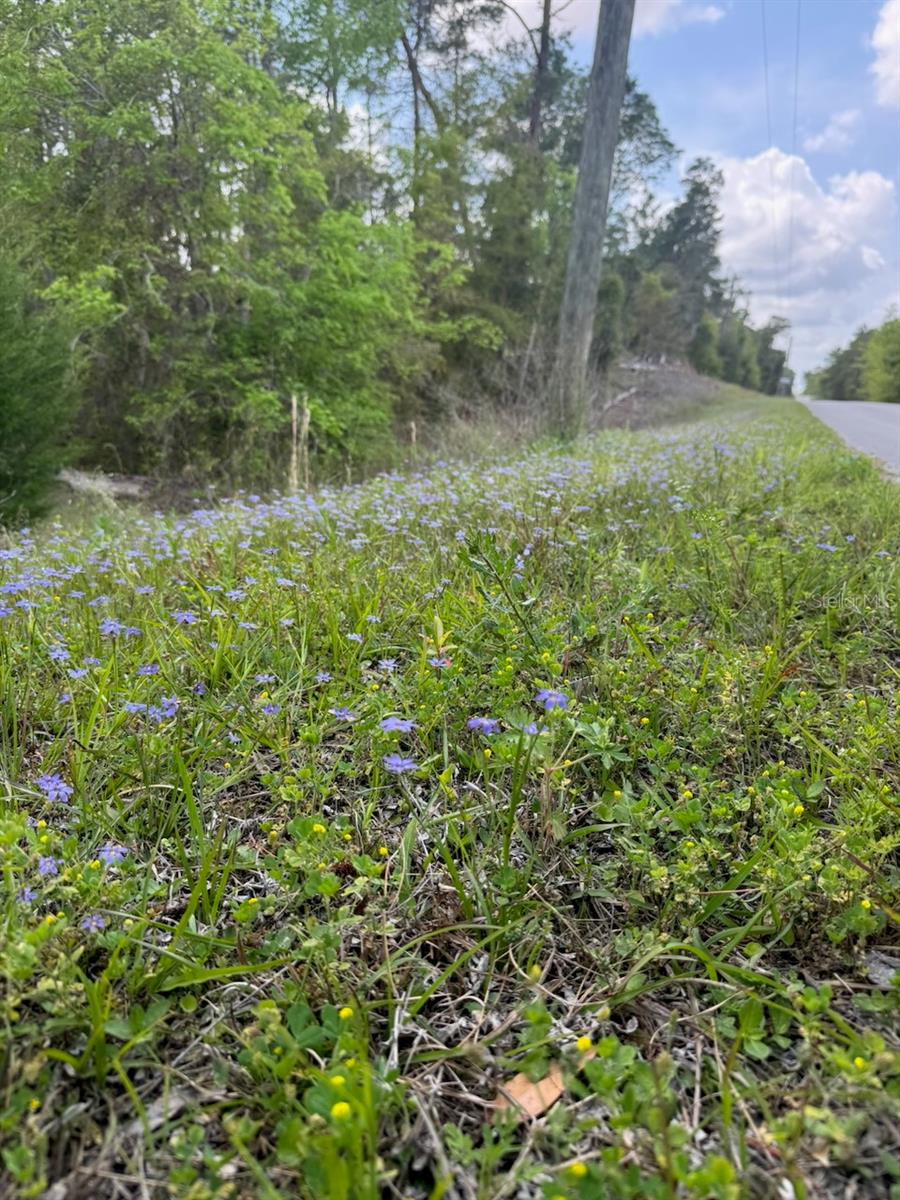 Image 20 of 20 For 10th Street Se