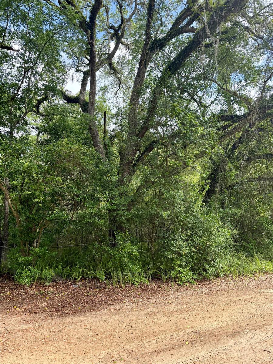 Image 2 of 9 For Tbd 130 Place