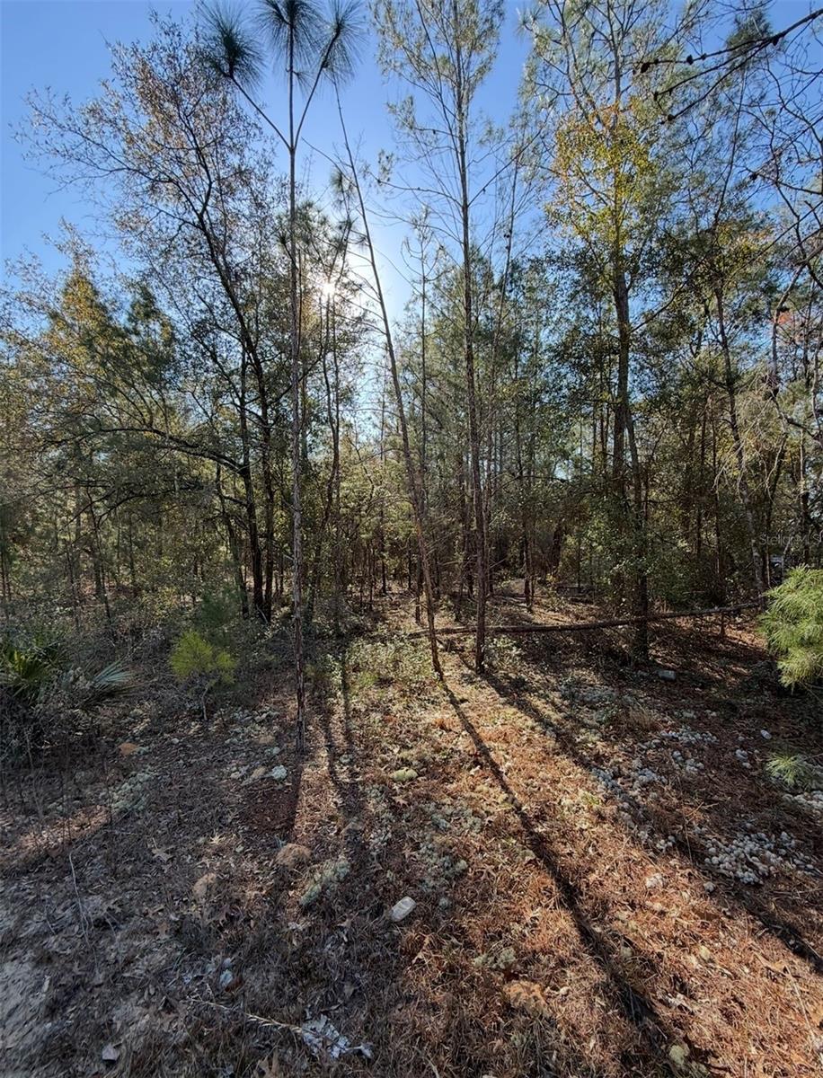 Image 10 of 12 For  Tbt 5th Way  