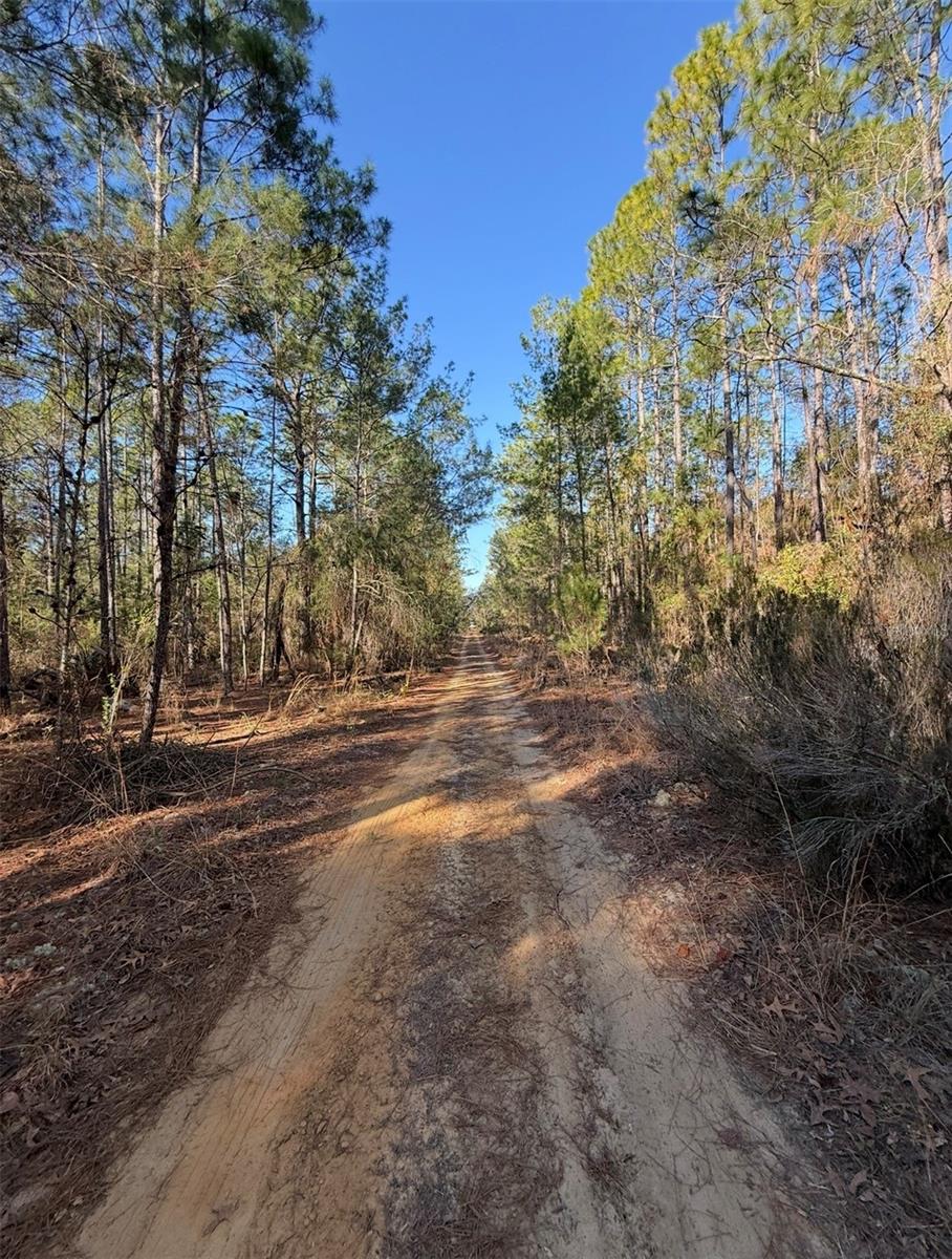 Image 4 of 12 For  Tbt 5th Way  