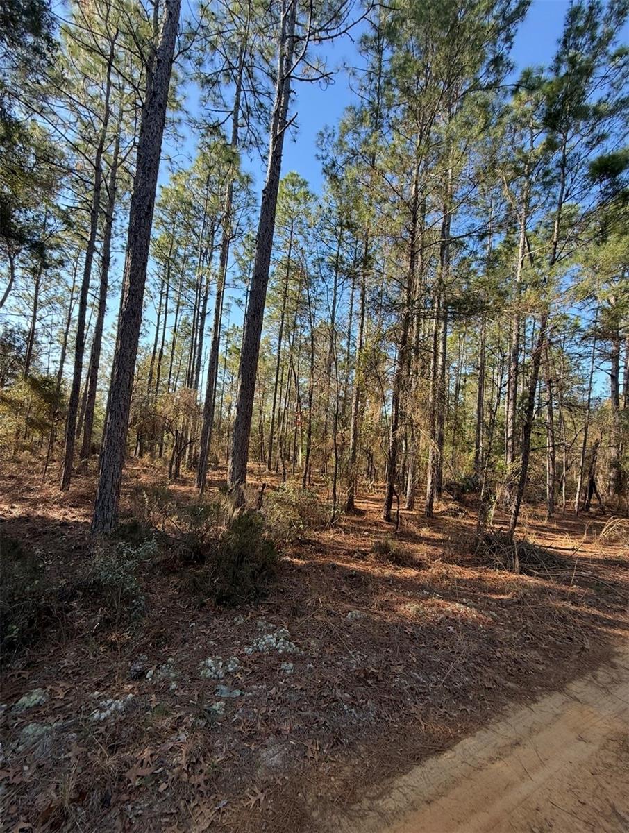 Image 5 of 12 For  Tbt 5th Way  