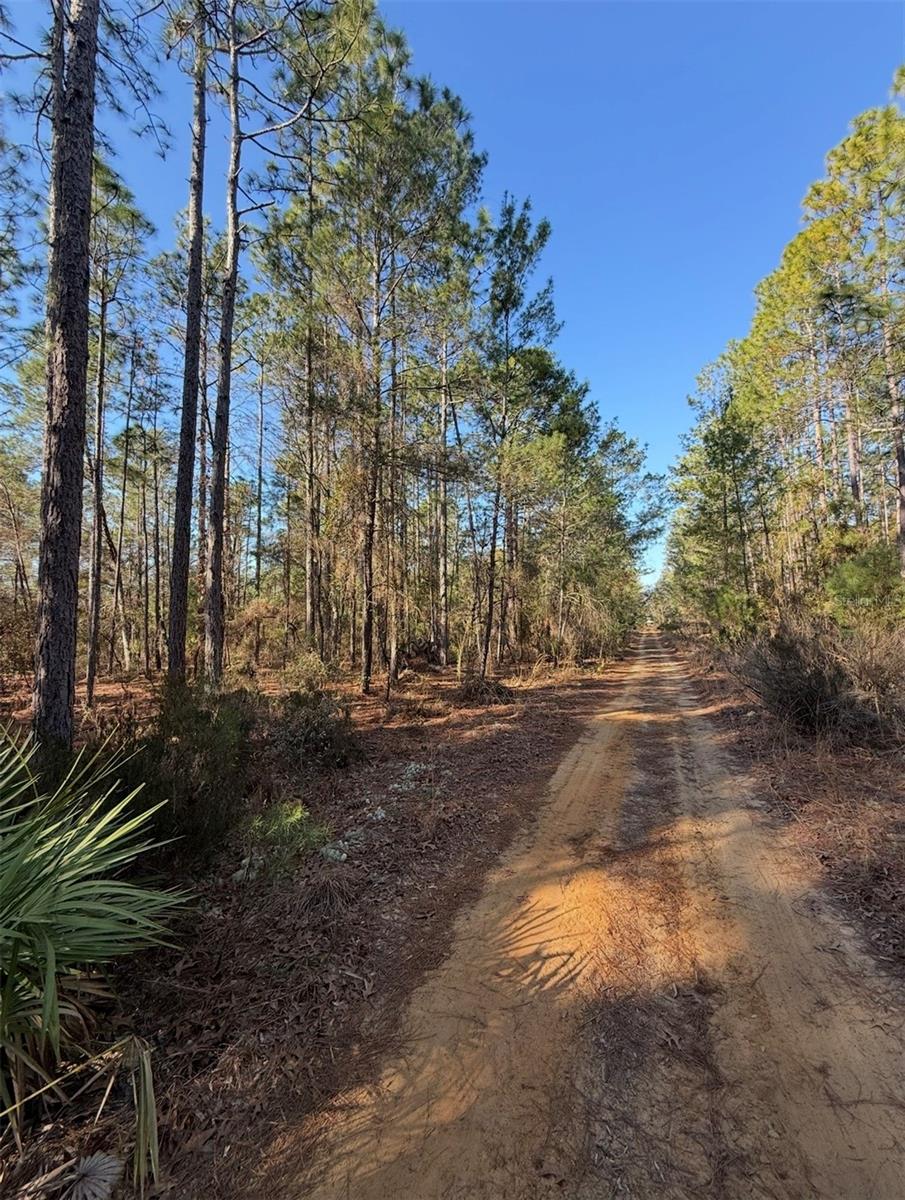 Image 7 of 12 For  Tbt 5th Way  